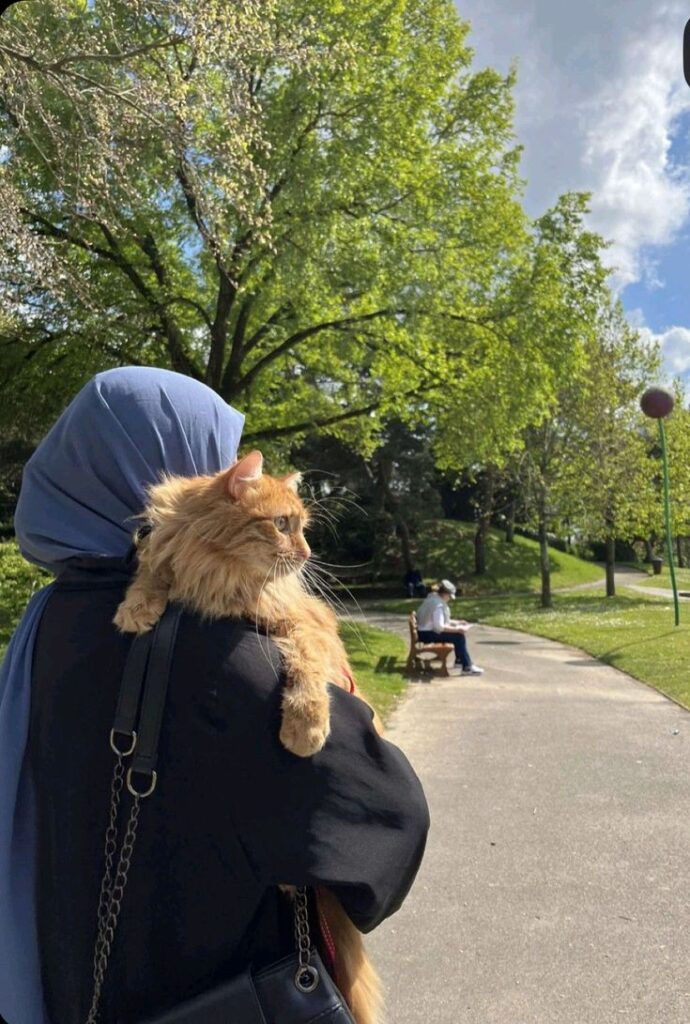 140aeaf0 c733 4054 bd8b 495d0567badc